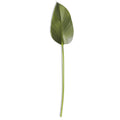 Faux Rubber Fig Stem