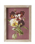 Framed Glass Wall Decor Prints