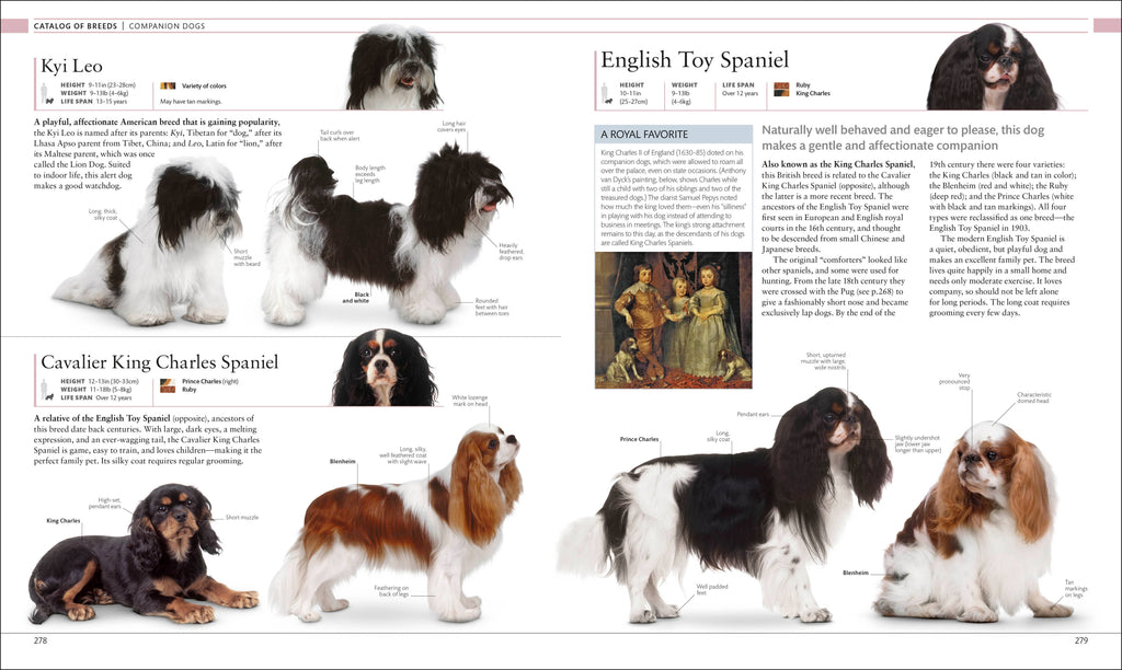 "The Dog Encyclopedia" Book