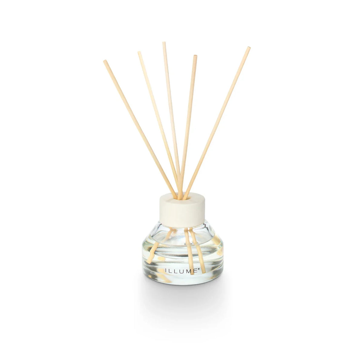 Blackberry Absinthe Aromatic Diffuser