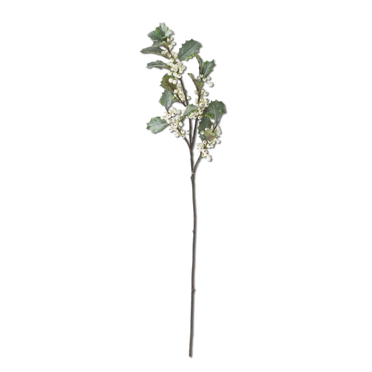 Holly Stem with White Berries