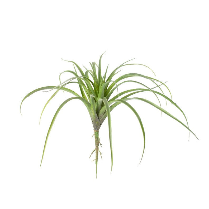 Faux Air Plant