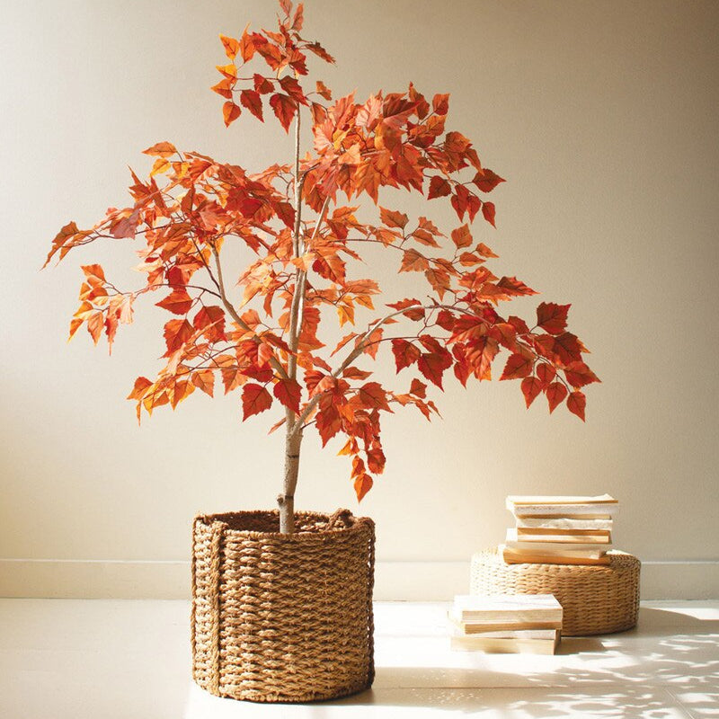 Artificial Autumn Birch Tree in a Black Plastic Pot