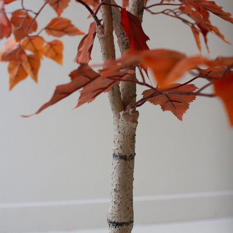 Artificial Autumn Birch Tree in a Black Plastic Pot