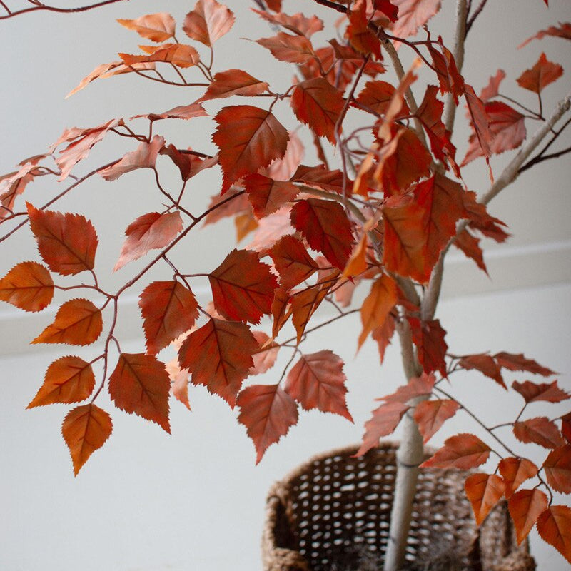 Artificial Autumn Birch Tree in a Black Plastic Pot