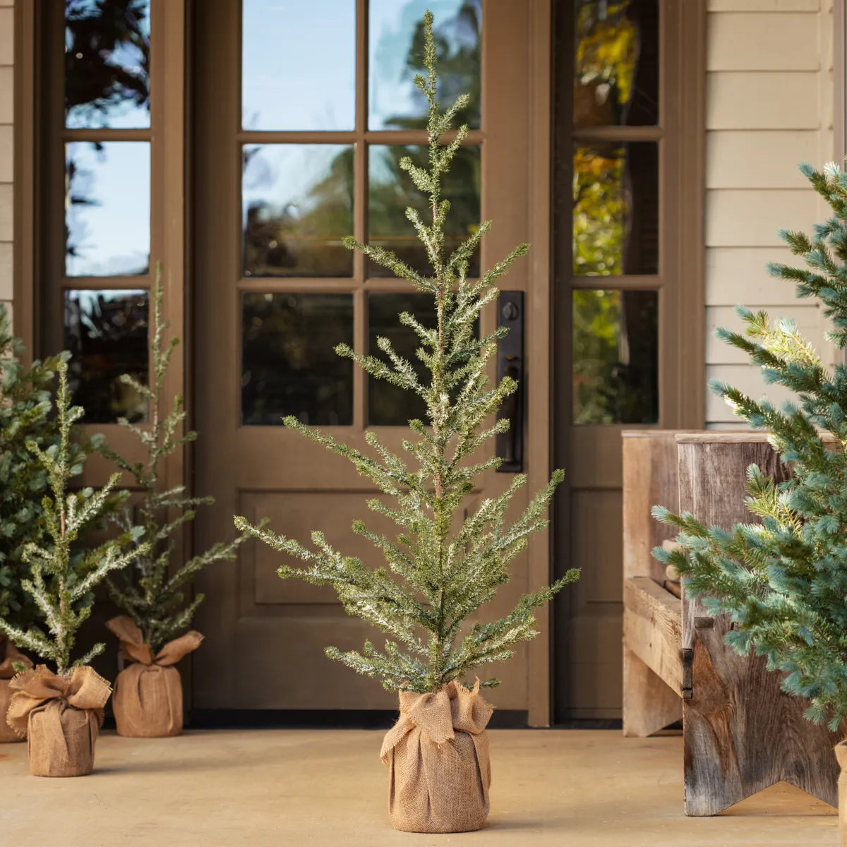 Iced Alpine Tree