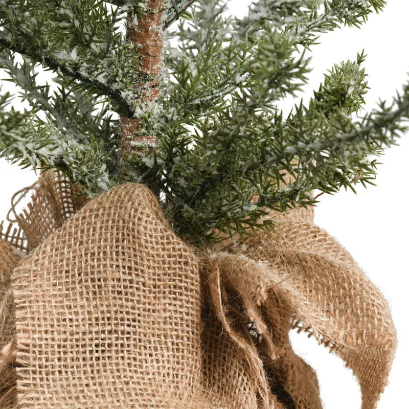 Iced Alpine Tree
