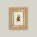 Gold Bell with Pine Framed Antique Art