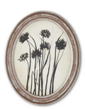Oval Black & White Botanical Print