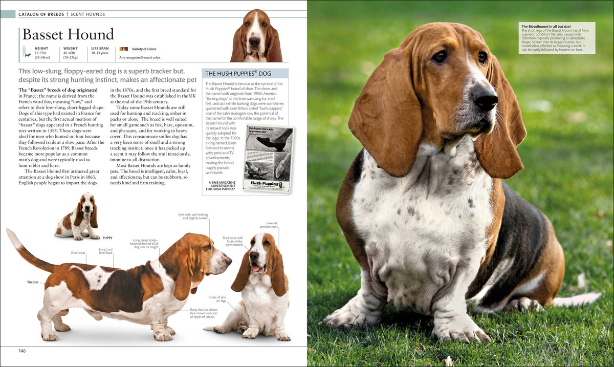 "The Dog Encyclopedia" Book