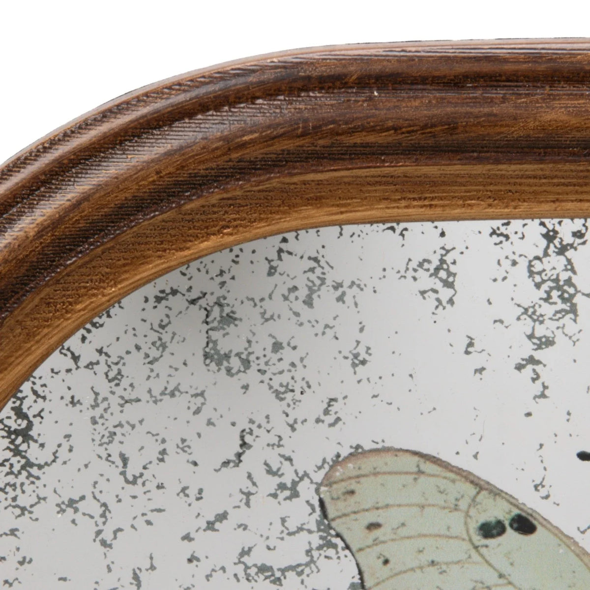 Butterfly Art on Framed Antique Mirror