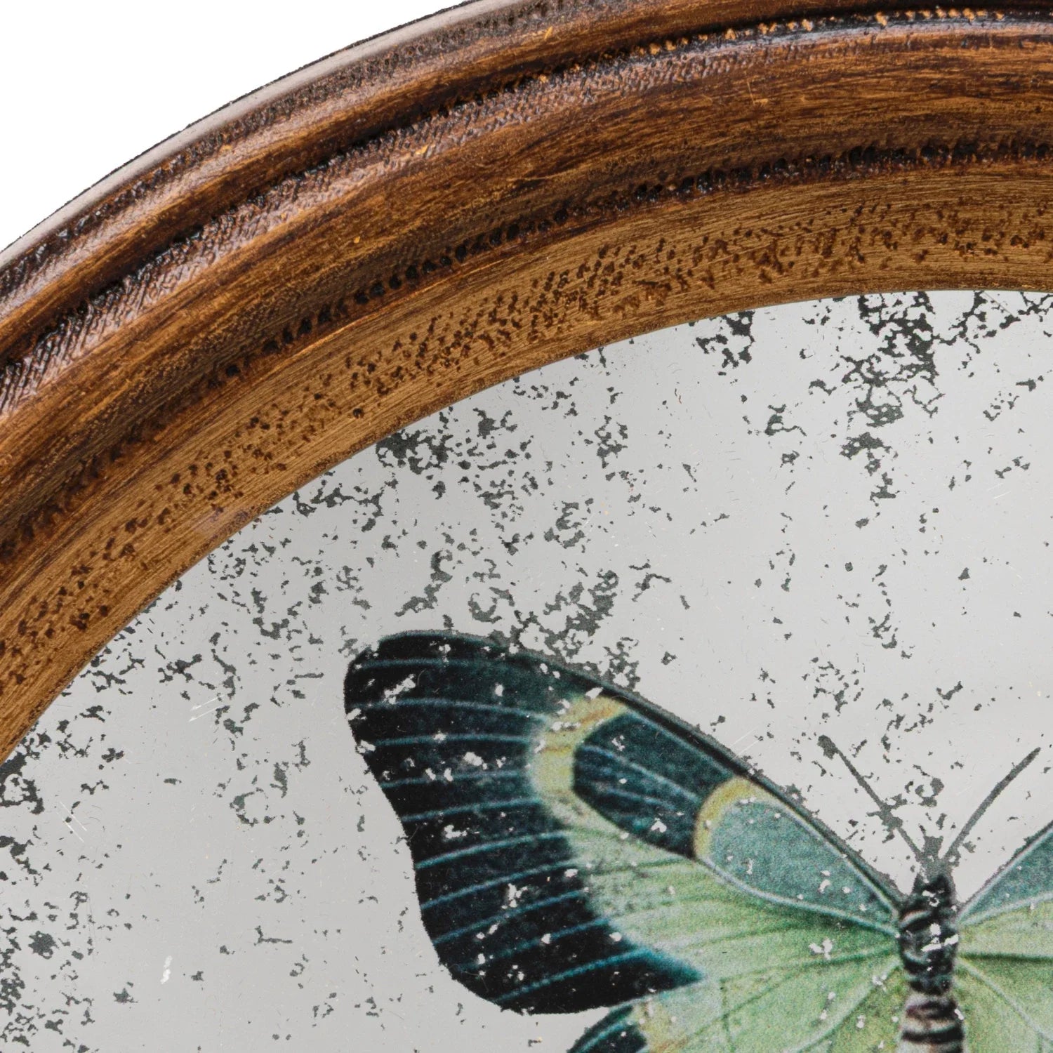 Butterfly Art on Framed Antique Mirror