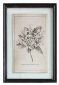 Black Framed Wall Decor with Floral Image
