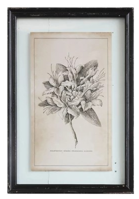 Black Framed Wall Decor with Floral Image