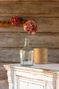Hydrangea Stem of Various Colors